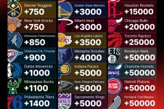 利拉德与杨瀚森篮球对话：球星连线谈技艺与梦想